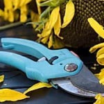 wire cutter tool